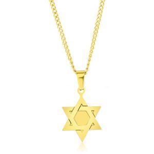 Stainless Steel Polished Star of David Necklace - Gold Plated