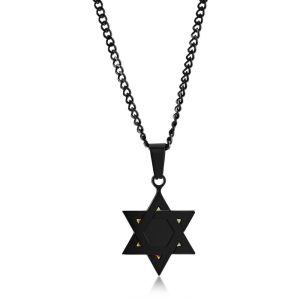 Stainless Steel Polished Star of David Necklace - Black Plated